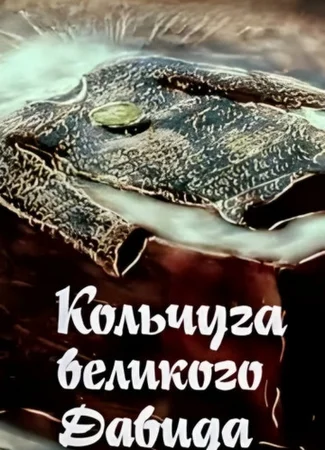 Кольчуга великого Давида (ТВ, 1989)