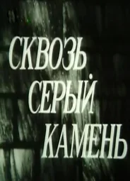 Сквозь серый камень (1987)